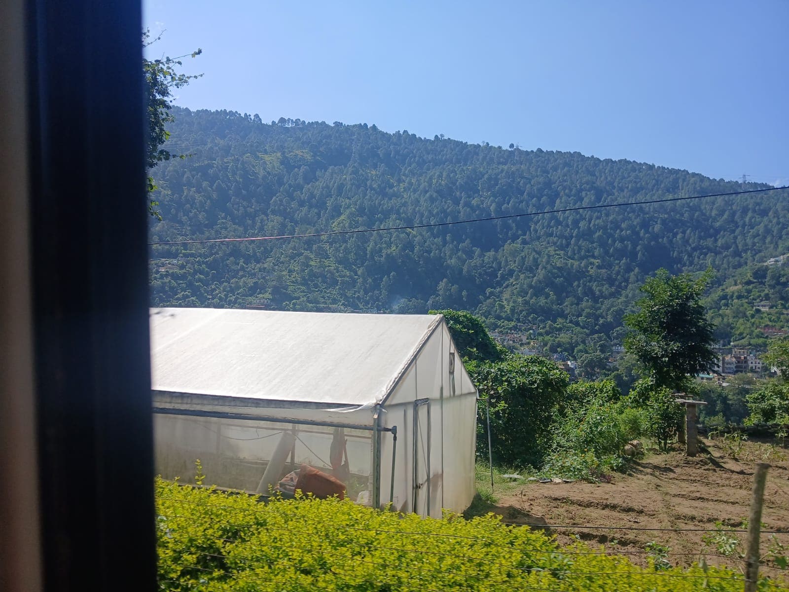 HNBGU Campus photo 5